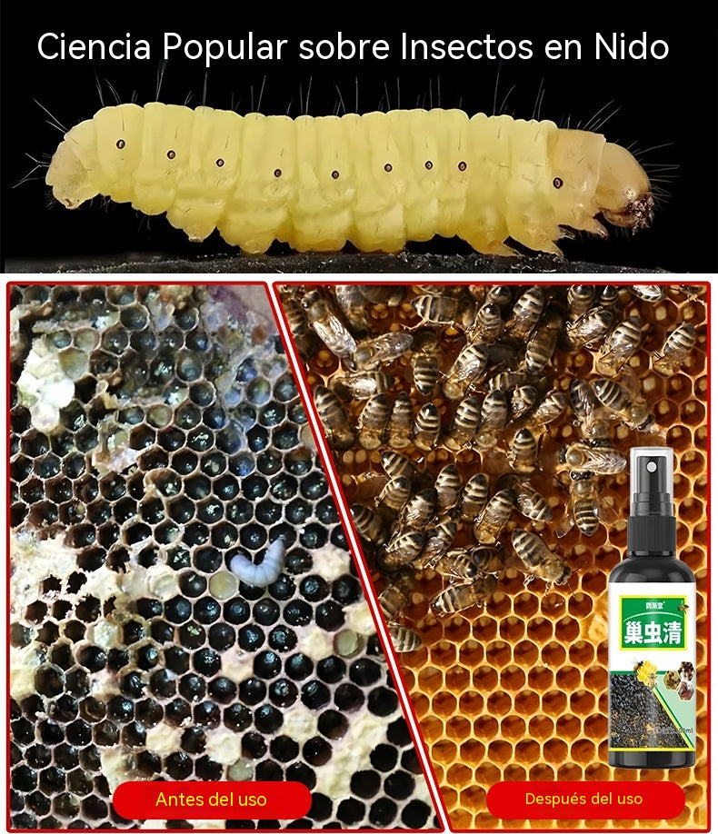 🐝【6 botellas】Spray natural contra la polilla de la cera 🌿 | Seguro y no tóxico — ✨ Con solo una ligera pulverización, garantizas la seguridad y la tranquilidad de tus abejas 💧