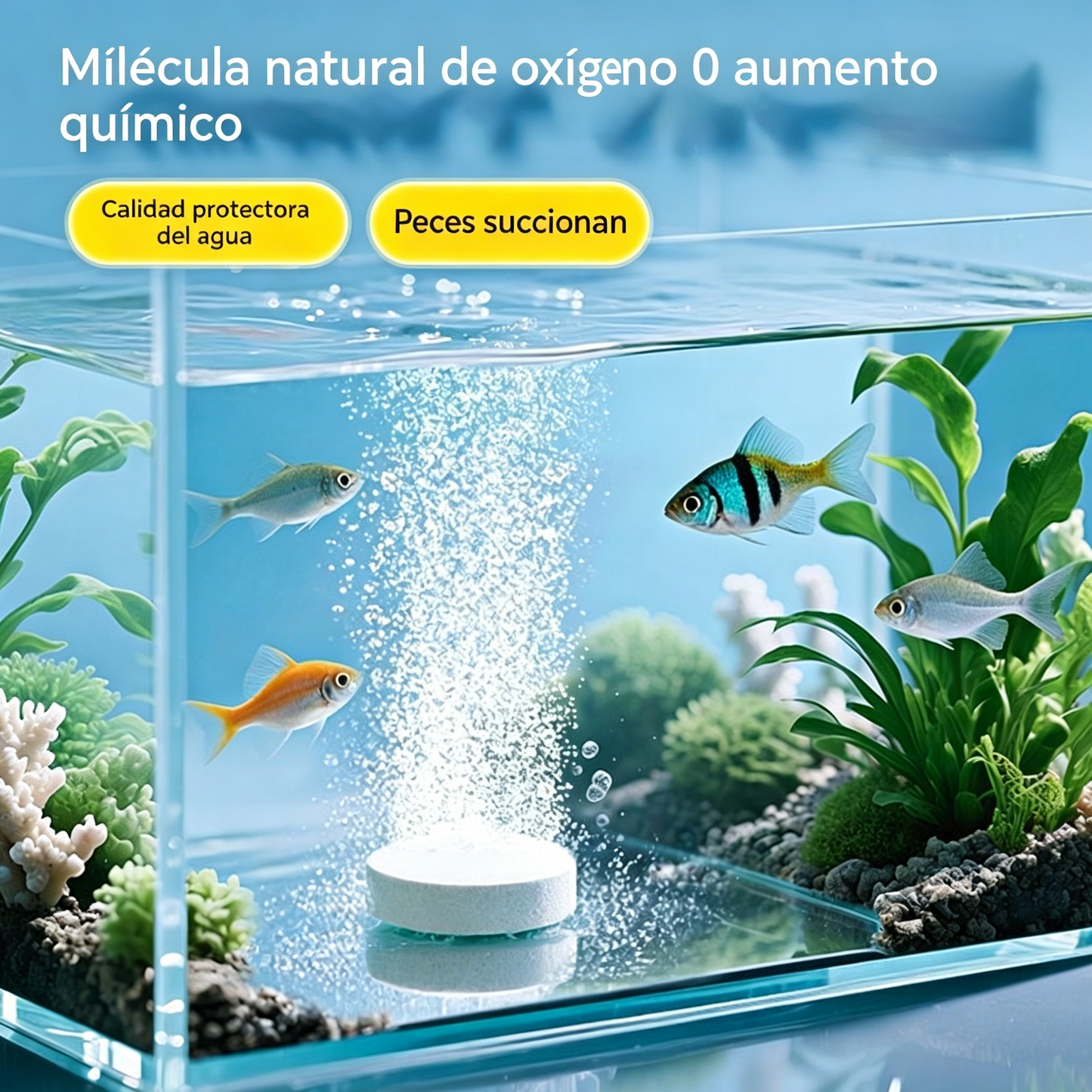 🐟【300 kapsúl】2 fľaše za 26 eur💧 Tabletas efervescentes para limpiar el agua de acuarios y estanques, tabletas oxigenantes para acuarios 🔥