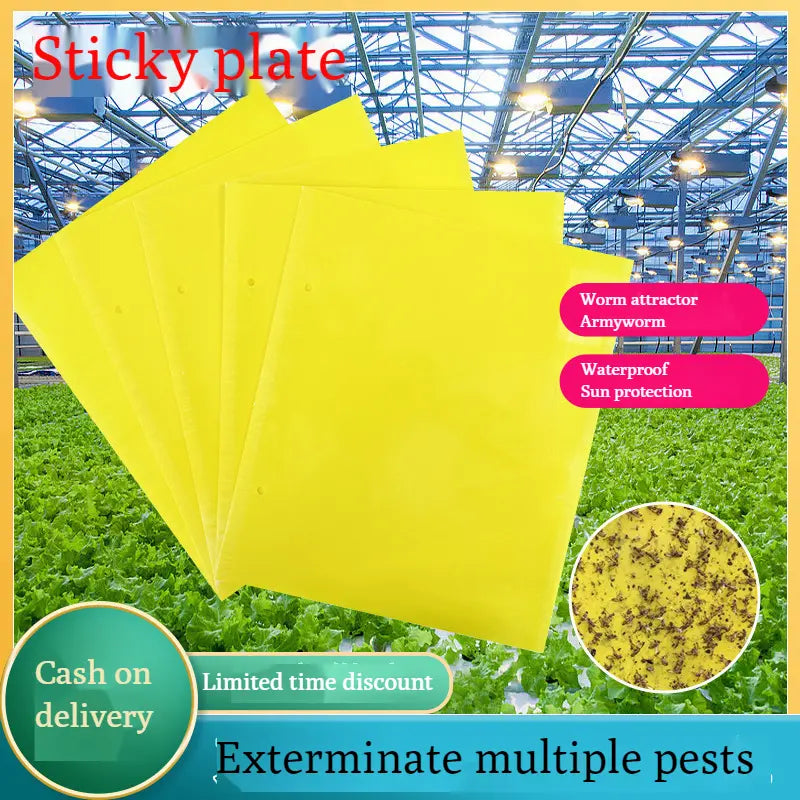 【60 piezas】Tablero adhesivo de insectos de doble cara amarillo