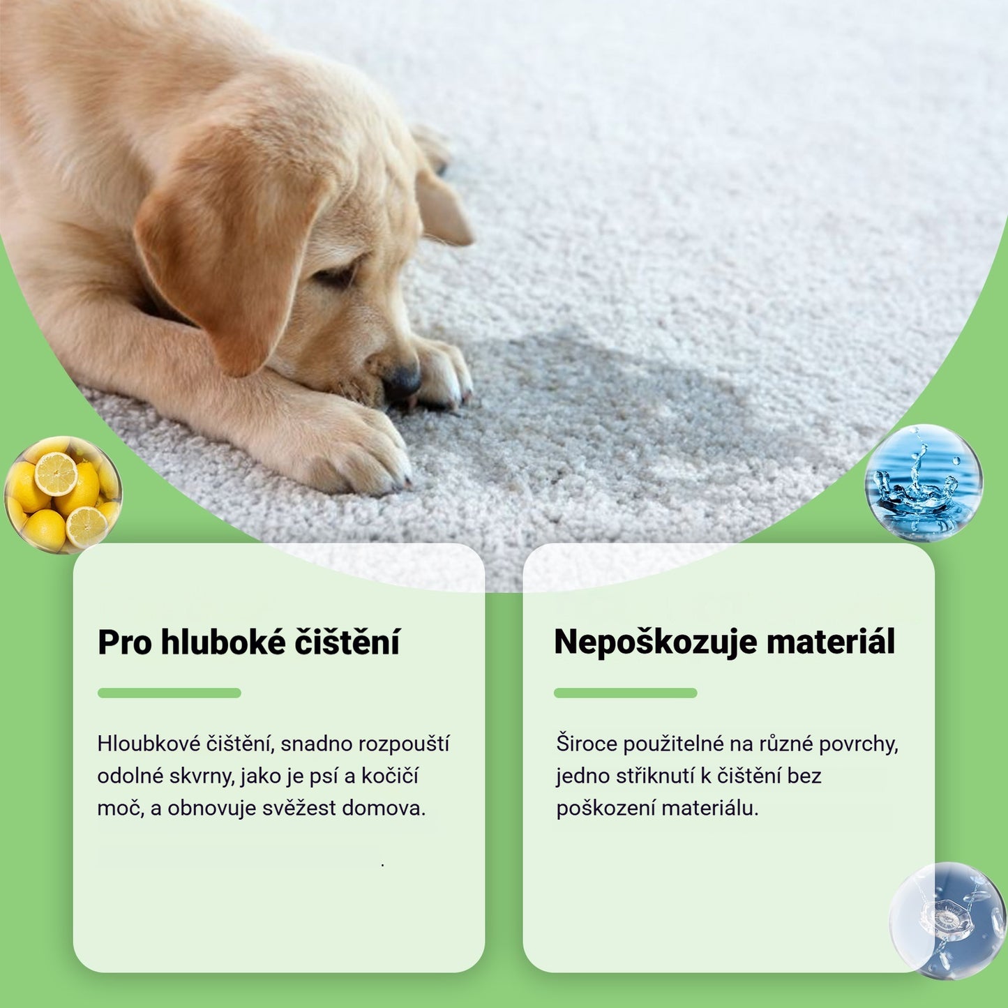 🐶🐱Quitamanchas para mascotas, gatos y perros