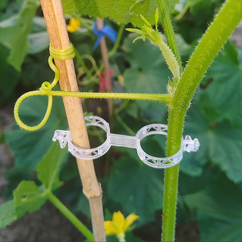 【🔥200 piezas】🌱🎗Clip de fijación para el crecimiento de plantas de plántula