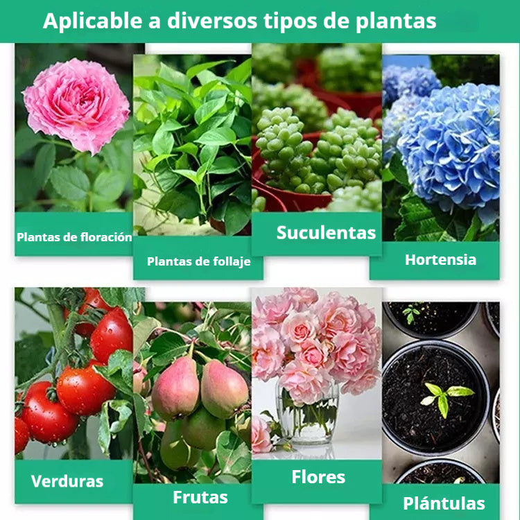 🌱💥【6 botellas】Solución nutritiva que promueve el crecimiento de las plantas.