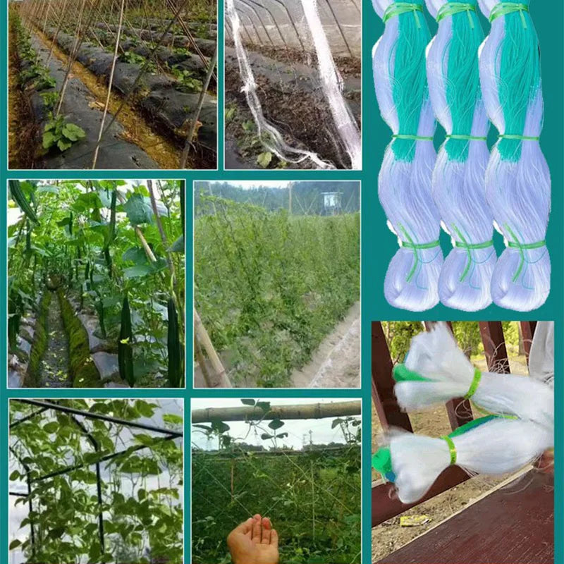 ‼️【2 * 100m】Red de enrejado para jardín, red para trepar plantas