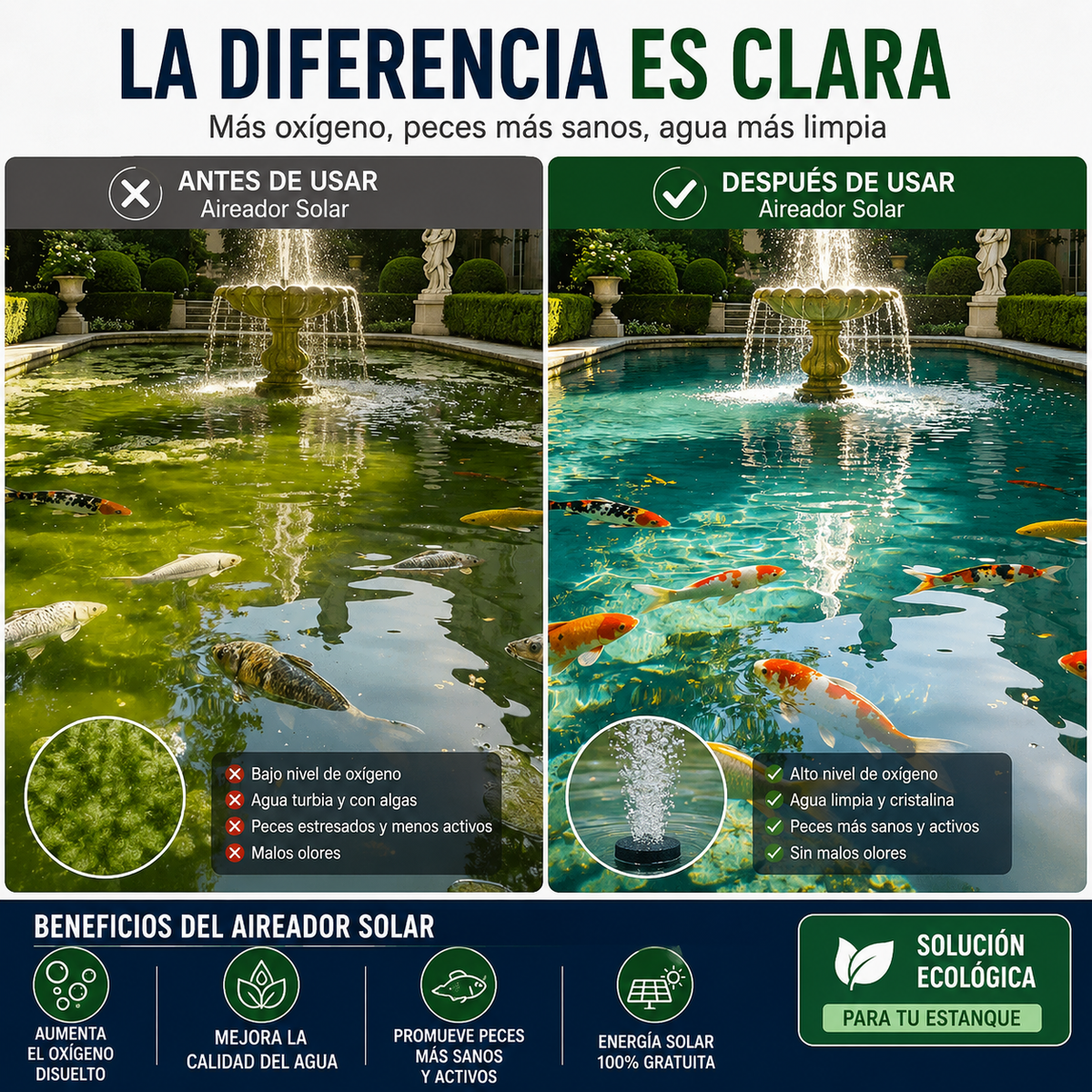 💦¡Alimentado por energía solar, dale vida a tu estanque!