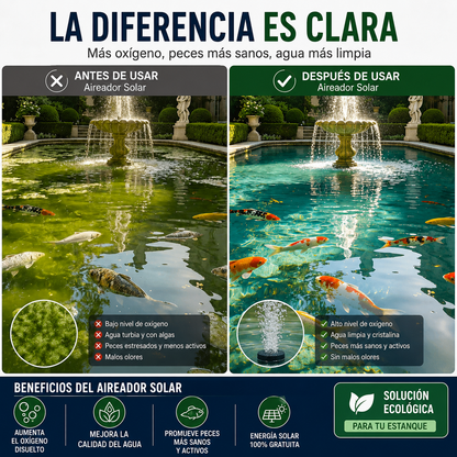 💦¡Alimentado por energía solar, dale vida a tu estanque!