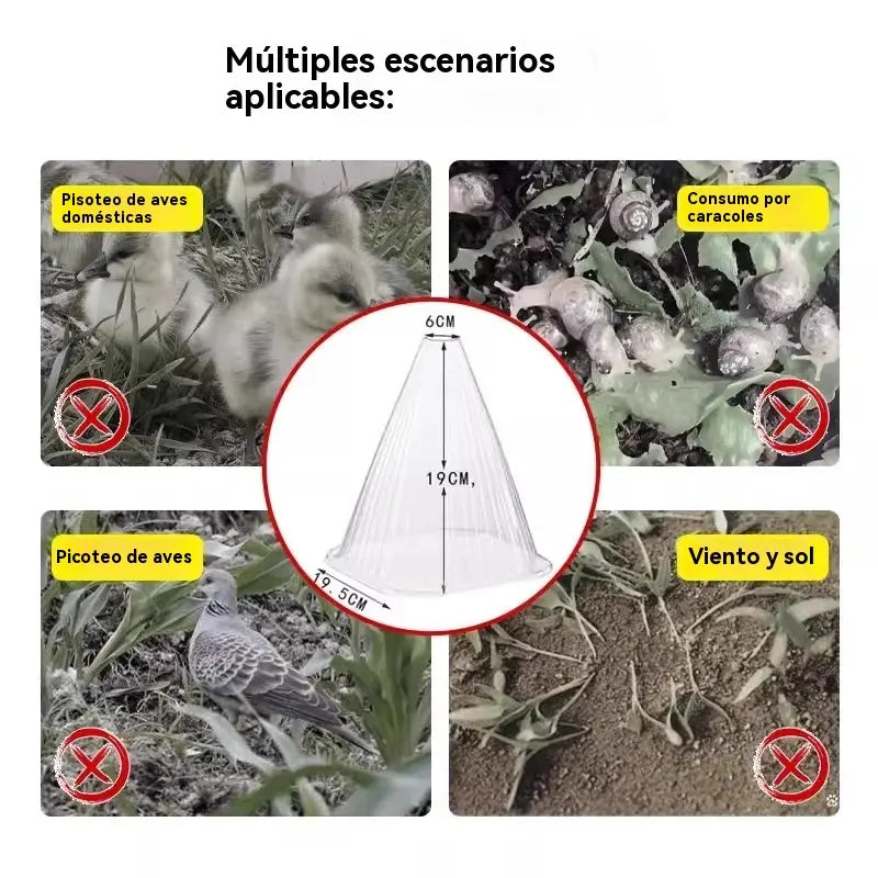 【20 piezas 】Plántulas de melón, plántulas de hortalizas, cubiertas vegetales: conservación térmica, protección contra aves, insectos