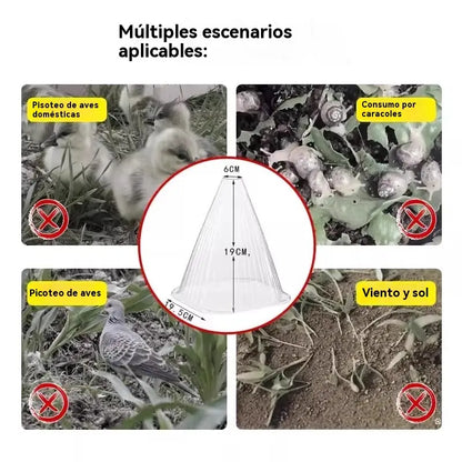 【20 piezas 】Plántulas de melón, plántulas de hortalizas, cubiertas vegetales: conservación térmica, protección contra aves, insectos