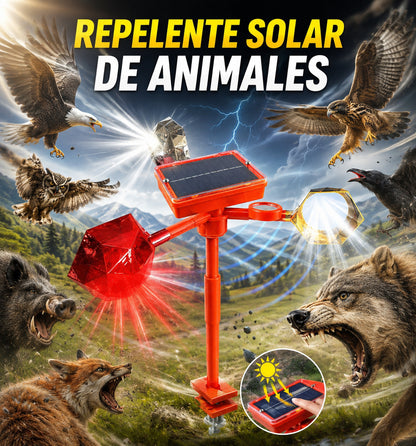 👍Ahuyentador solar de pájaros,Este dispositivo disuasorio giratorio con energía solar repele a las aves y a los animales salvajes, protegiendo así jardines y huertos.