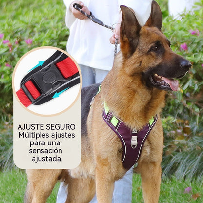🐶🔥 ¡50% OFF POR TIEMPO LIMITADO! Arnés Antitirones con Correa y Collar ✨ Máximo Control y Seguridad en Cada Paseo 🌙