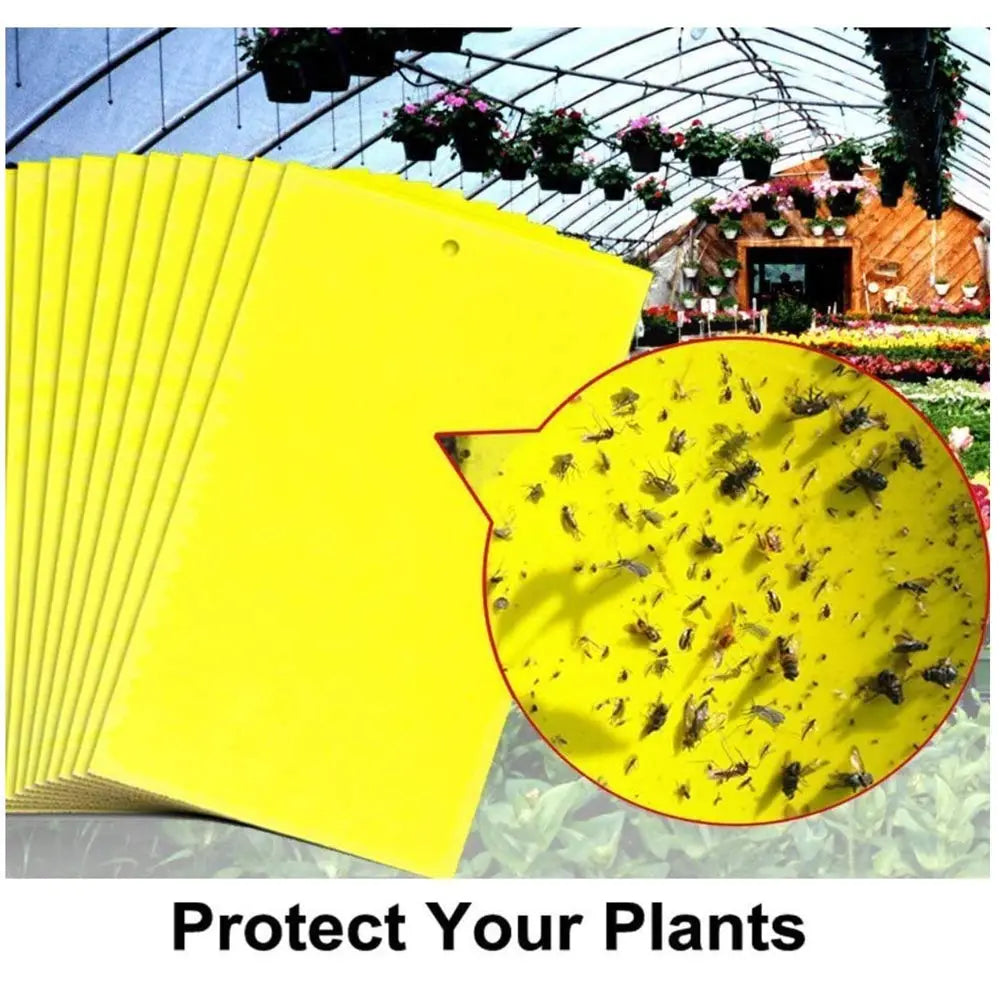 【60 piezas】Tablero adhesivo de insectos de doble cara amarillo