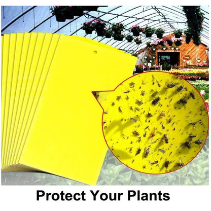 【60 piezas】Tablero adhesivo de insectos de doble cara amarillo