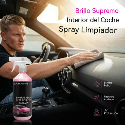 Productos para el cuidado del interior del automóvil