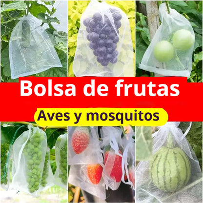 【50 piezas（30x20cm）】Red de insectos para moscas de frutas, red de protección de árboles de paisaje para pájaros, bolsas de red de jardín para proteger flores, plantas, frutas, verduras