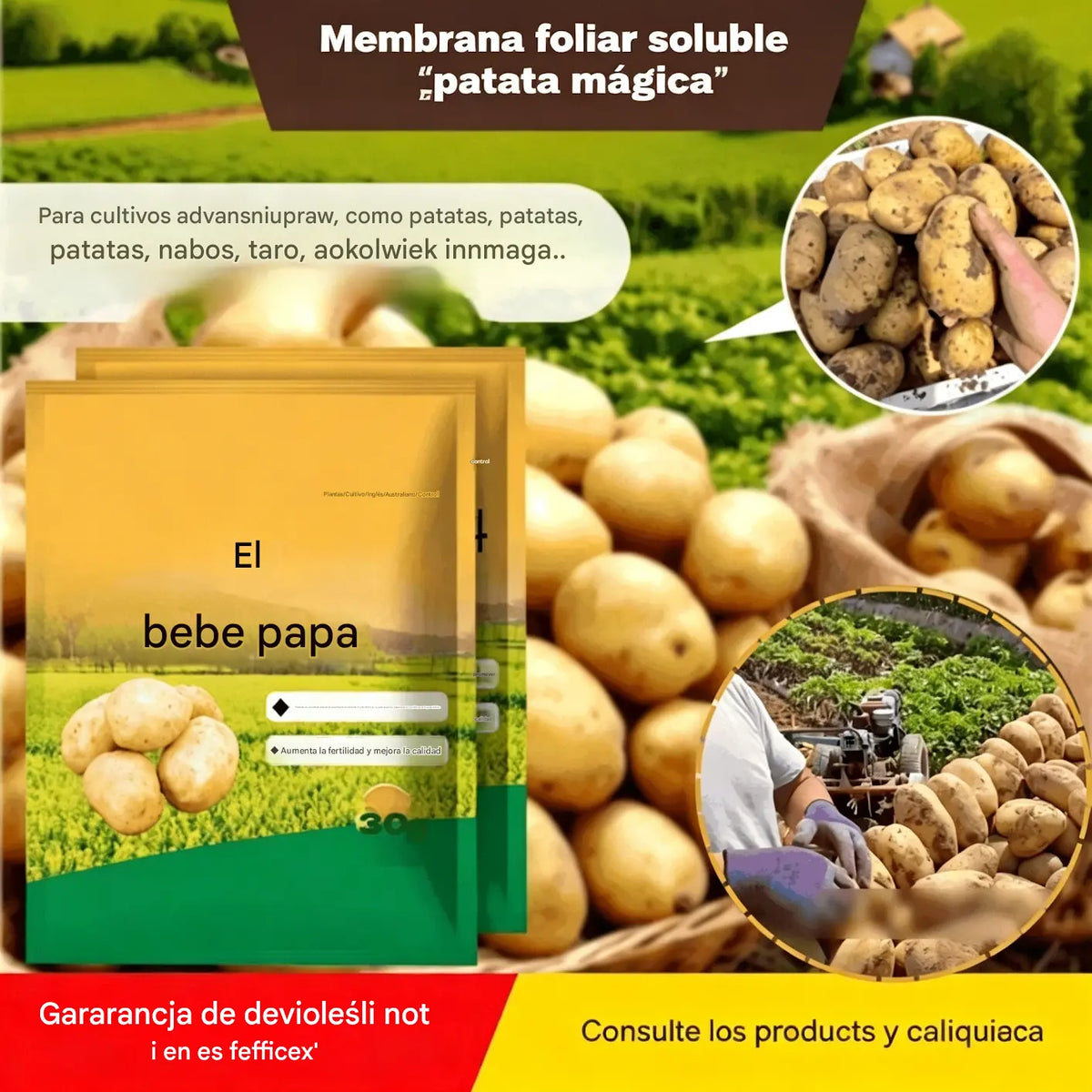 【20 bolsas】Este fertilizante en polvo soluble en agua para patatas, de alta eficacia, favorece el crecimiento de los tubérculos y aumenta el rendimiento.