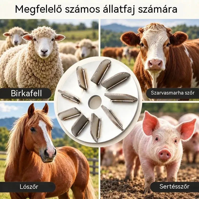 🔧🪚 Rozsdamentes acél pengetőtárcsa darálóhoz | Szőreltávolító korong sertés-, juh- és marhahús tisztításához és feldolgozásához