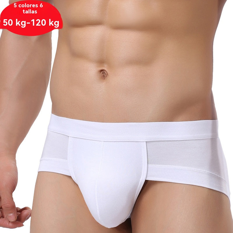 【5 piezas 29 euros】 Pantalones cortos de modal para hombre【M-4XL】