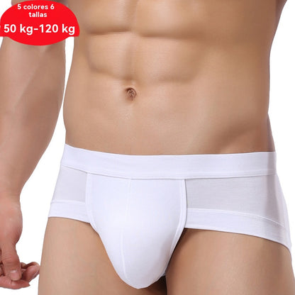 【5 piezas 29 euros】 Pantalones cortos de modal para hombre【M-4XL】