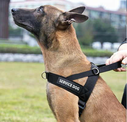 🐶Arnés chaleco correa antiexplosión para perros！