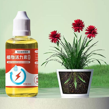 🌱💥【6 botellas】Solución nutritiva que promueve el crecimiento de las plantas.