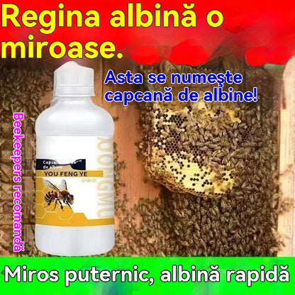 🐝✨ Atrayente Natural para Abejas de Alta Eficacia – Spray Vegetal con Aroma a Miel para Fortalecer Colmenas