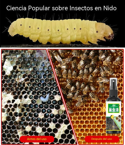 🐝【6 botellas】Spray natural contra la polilla de la cera 🌿 | Seguro y no tóxico — ✨ Con solo una ligera pulverización, garantizas la seguridad y la tranquilidad de tus abejas 💧