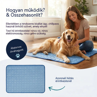 🧊⚡ Nyári akció! Hűsítő kisállatszőnyeg (vízmentes) – Légáteresztő Oxford anyagból, bármilyen fekhelyre vagy ketrecbe alkalmas.