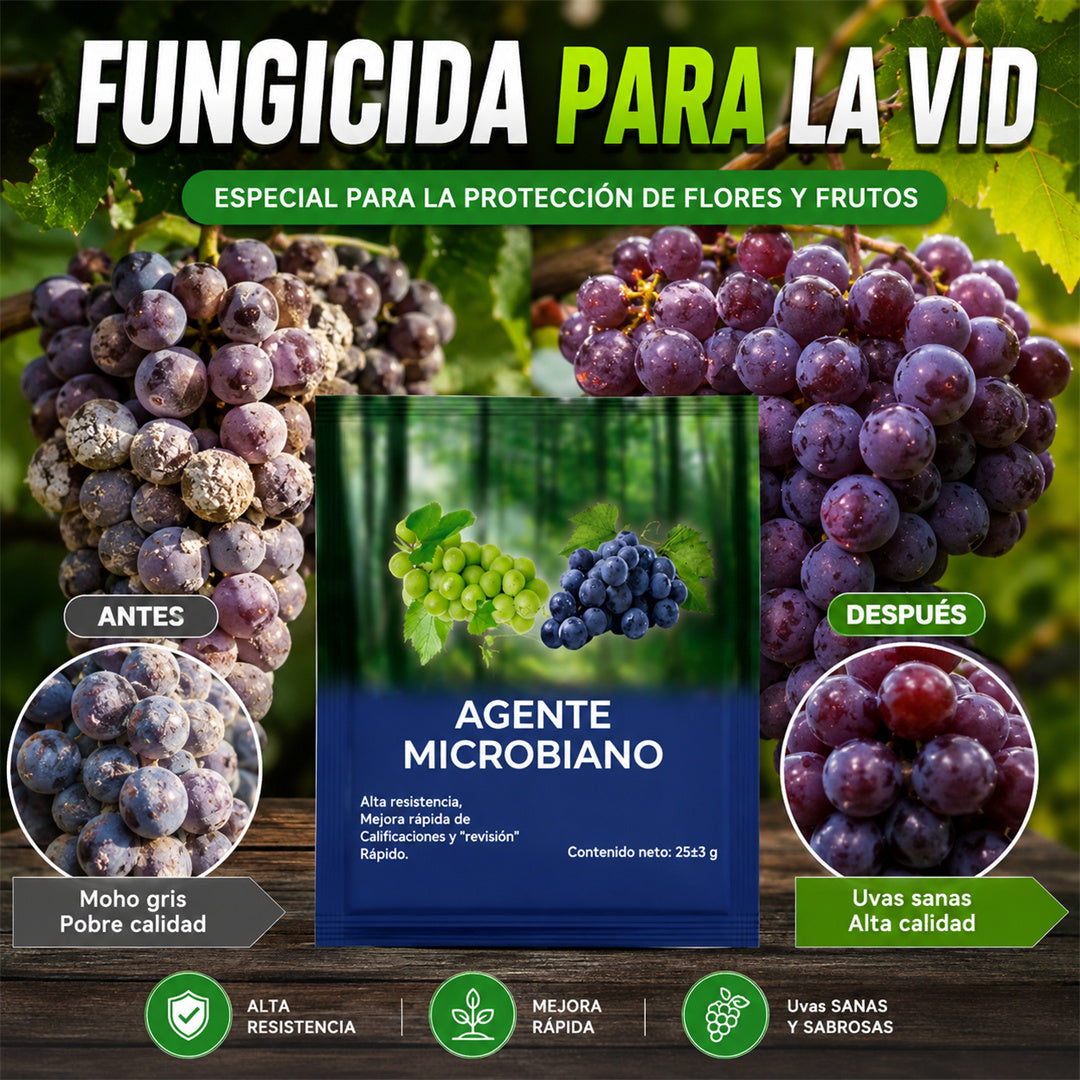 🍇【Compra 5 y llévate 5 gratis】🍇【10 bolsas】🍇Preparaciones biológicas de la uva｜Prevención de enfermedades fuertes｜Prevenir y controlar el oídio y aumentar la producción.