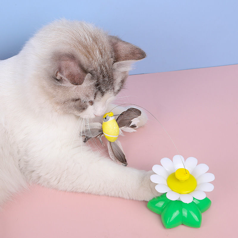 【Compra 1 y obten 1 gratis】🐱Teaser de gato colibrí giratorio automático😍