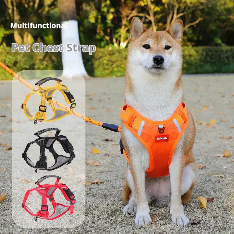 🐶【5–30 kg】Arnés para perros, antitirones, para mascotas.