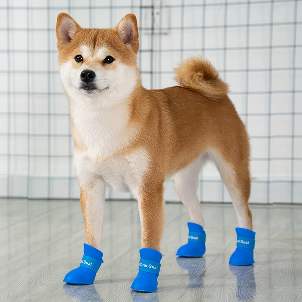🐶50% de descuento 👟Calcetines antideslizantes e impermeables para mascotas