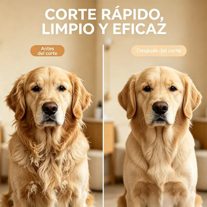 Cortapelos para Mascotas 4 en 1 con Lima de Uñas | Recortadora USB Recargable para Perros y Gatos | Cuchillas Intercambiables para Pelo, Patas, Cara y Uñas
