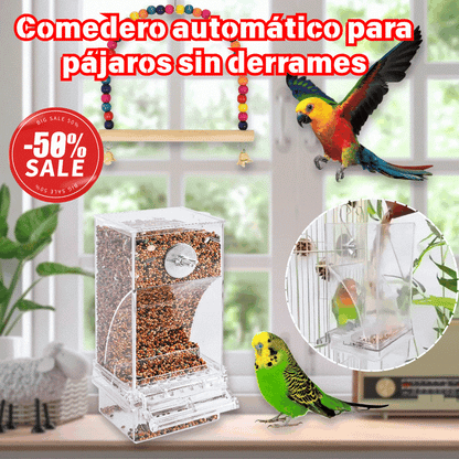 🐦🔥Comedero automático para pájaros sin derrames