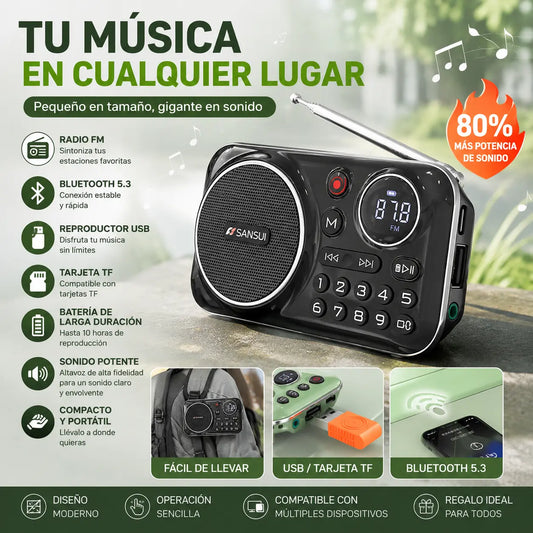 🎁【Oferta por tiempo limitado】Reproductor de música con radio Bluetooth portátil, puede insertar tarjetas y unidades flash USB