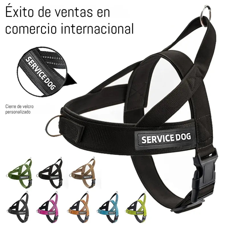 🐶Arnés chaleco correa antiexplosión para perros！