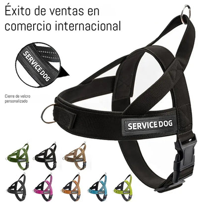 🐶Arnés chaleco correa antiexplosión para perros！