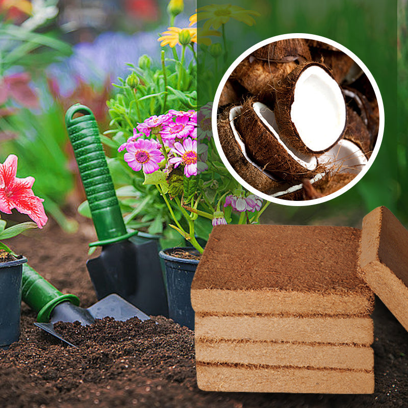 💥【Compre 2 y llévese 1 gratis】🌱🌱Tierra nutritiva de coco en ladrillos