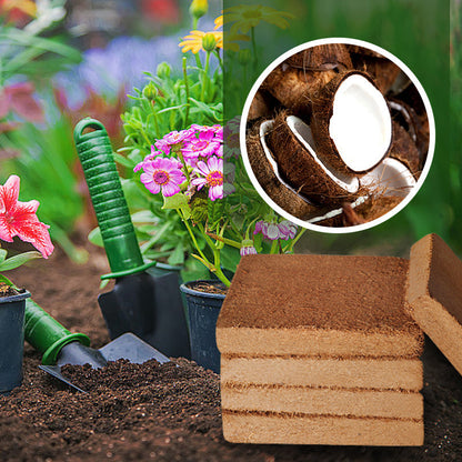 💥【Compre 2 y llévese 1 gratis】🌱🌱Tierra nutritiva de coco en ladrillos
