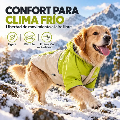 🐶🌧️ Chubasquero para Perros con Capucha | Chaqueta Impermeable y Cortavientos para Perros Grandes en Otoño e Invierno