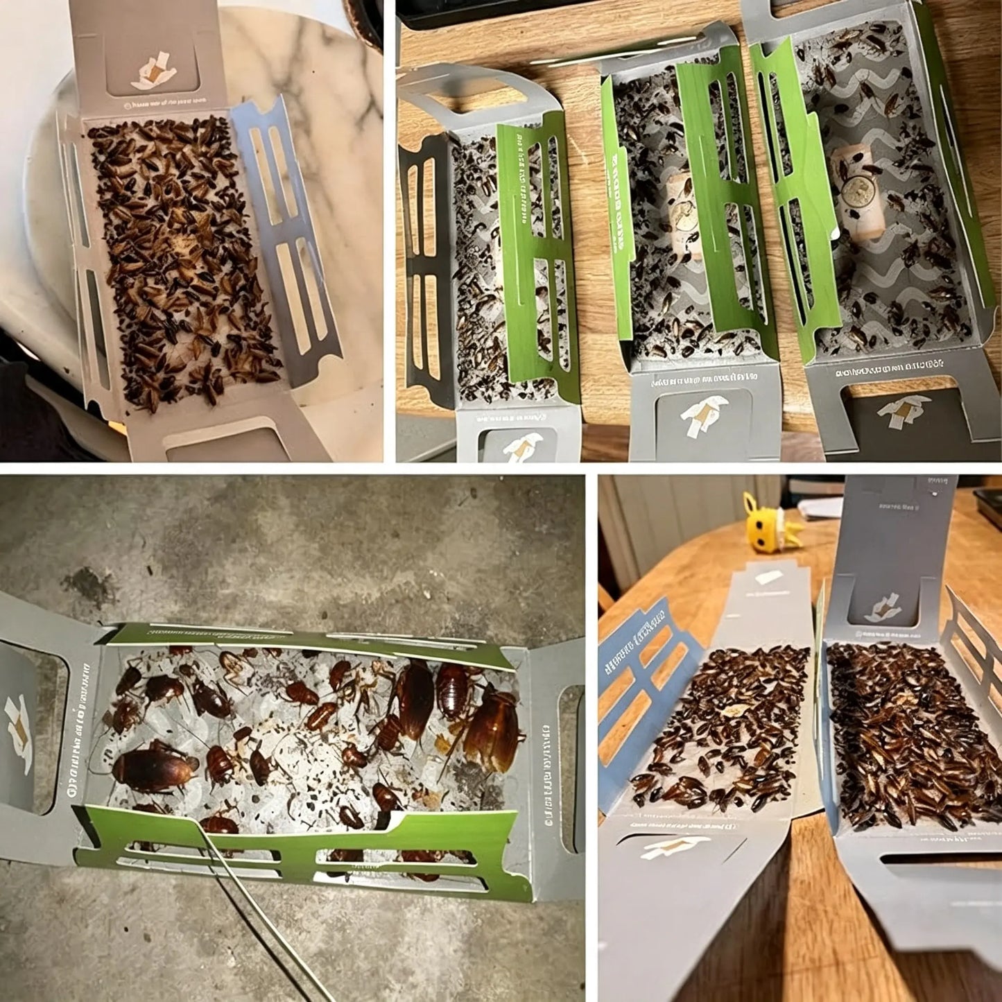 ✅【10 comprimidos/caja】Solo 25 euros🟢Trampa para cucarachas con pegamento fuerte！