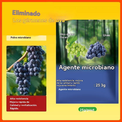 🍇【Compra 5 y llévate 5 gratis】🍇【10 bolsas】🍇Preparaciones biológicas de la uva｜Prevención de enfermedades fuertes｜Prevenir y controlar el oídio y aumentar la producción.