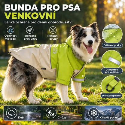 🐶🌧️ Chubasquero para Perros con Capucha | Chaqueta Impermeable y Cortavientos para Perros Grandes en Otoño e Invierno