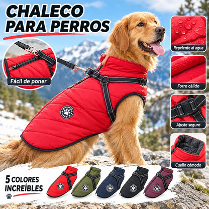Chaleco/chaqueta 2 en 1 para mascotas: tejido impermeable, forro polar, hebilla de seguridad; disponible en varios colores.