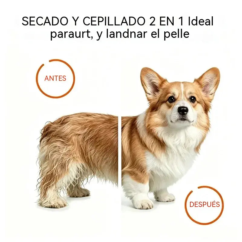 🐶✨ Cepillo Secador 2 en 1 para Mascotas | Seca, Cepilla y Desenreda en Minutos