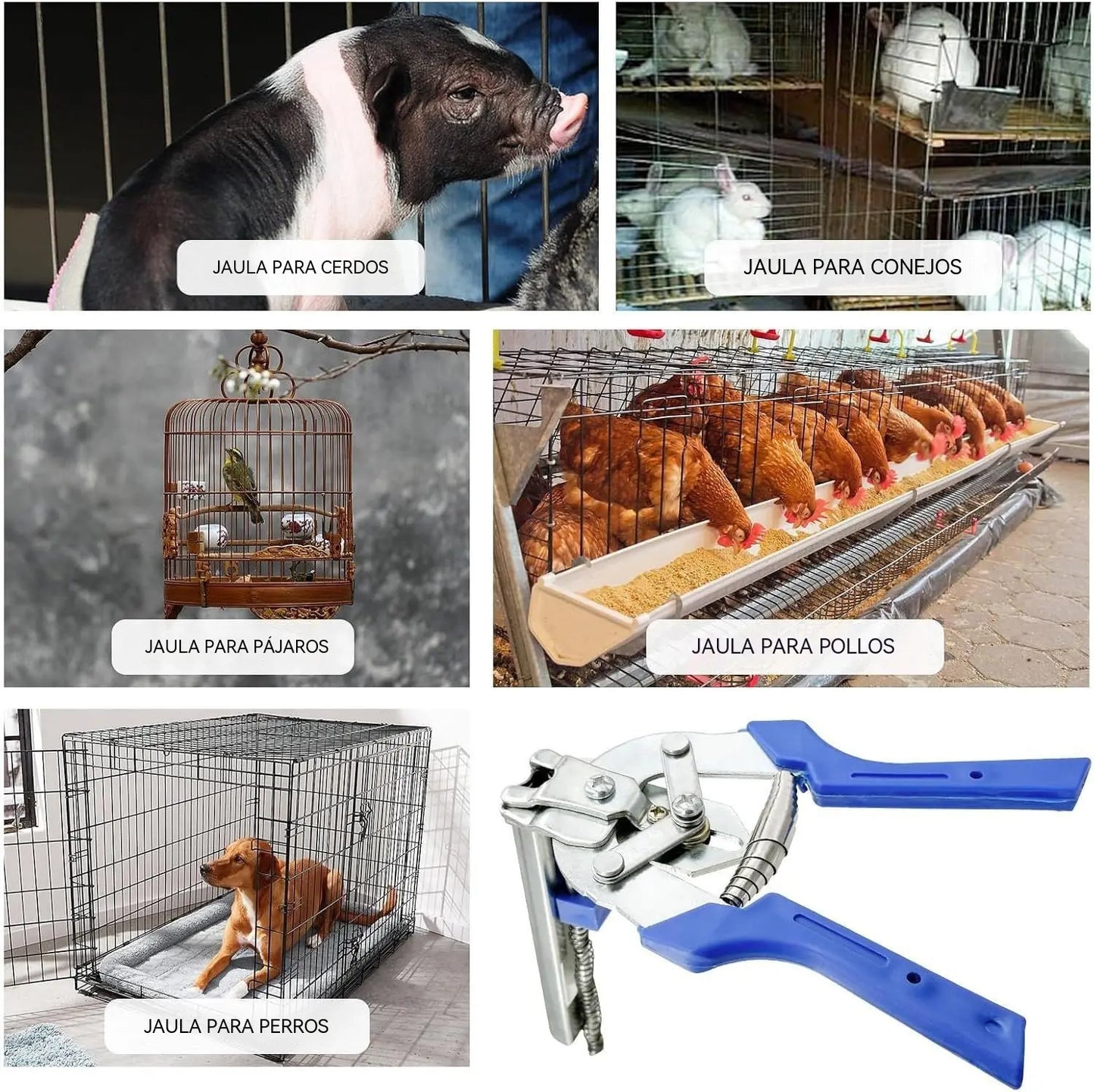 【Alicates + 600 Clavos】🐔🔧 Alicates para atar jaulas y redes de pesca.