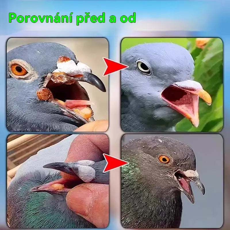✨【Kupte 1 a dostanete 1 zdarma】2 sady 470 Kč 🕊️🕊️100 tablet, speciální lék pro poštovní holuby, 6v1 léčba pro holuby - rychlé hojení, výrazné výsledky!