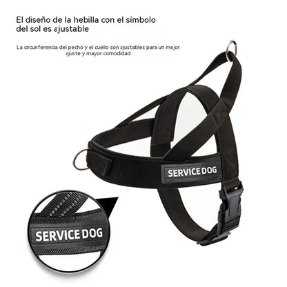 🐶Arnés chaleco correa antiexplosión para perros！