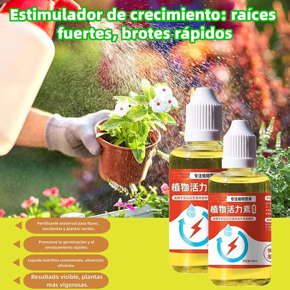 🌱💥【6 botellas】Solución nutritiva que promueve el crecimiento de las plantas.