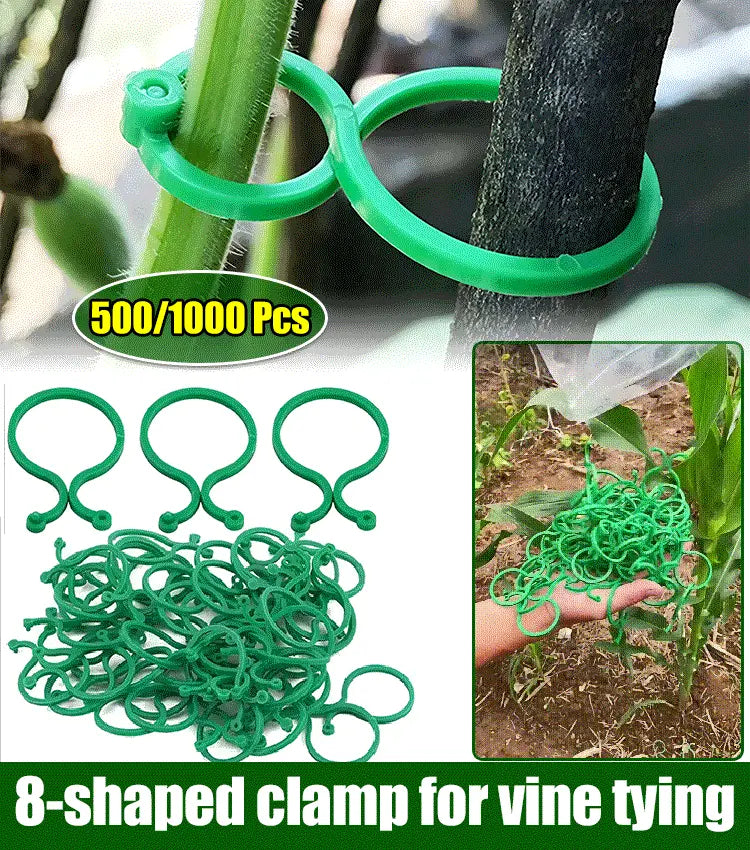 🍇【500 kusů】🌱Pevné svorky s přezkou ve tvaru 8, vhodné pro popínavé rostliny, zahrady/zeleninové sady/sady, úvazy pro vinnou révu