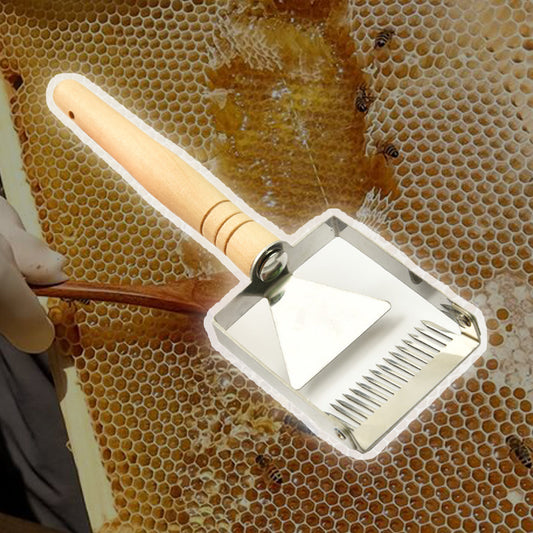 🐝Herramienta de apicultura con pala para colmena de miel