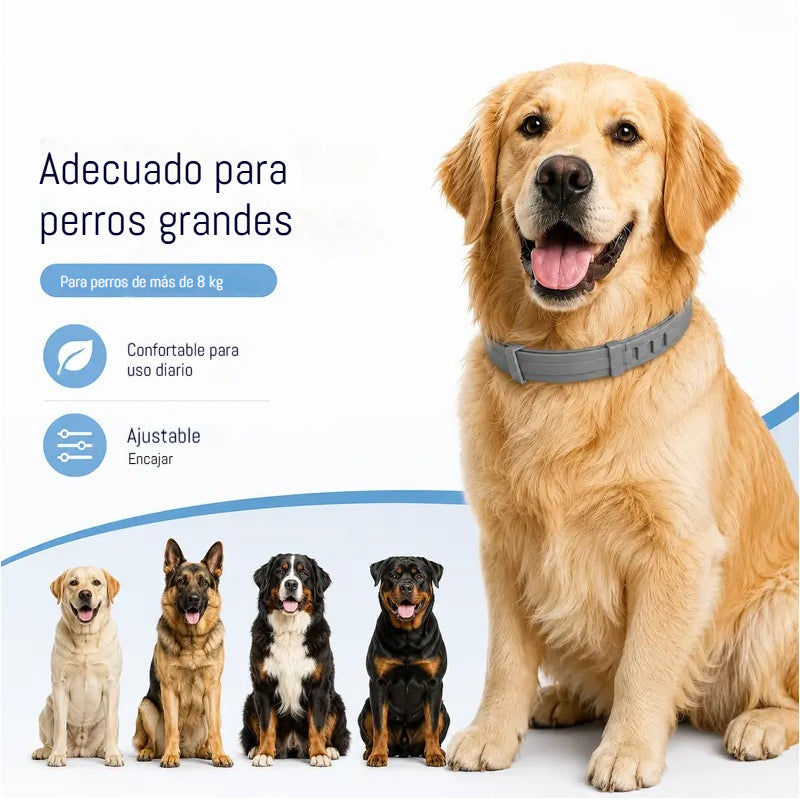 🔥【Compre 1 y obtenga 1 gratis】🐶🐱Collares preventivos contra pulgas y piojos para gatos y perros！